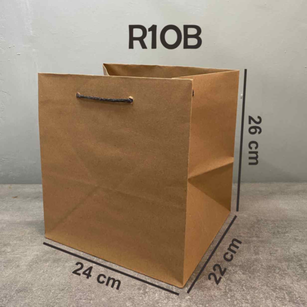 Paperbag R10B (per lusin)